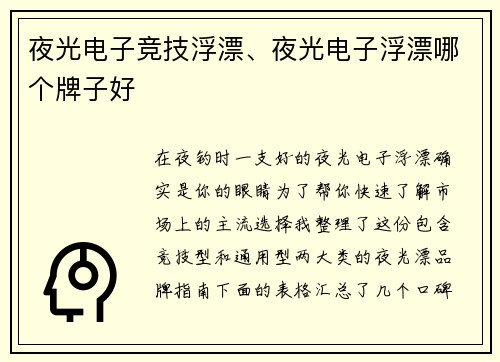 夜光电子竞技浮漂、夜光电子浮漂哪个牌子好